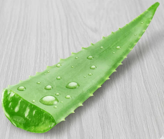 Extracto de aloe vera